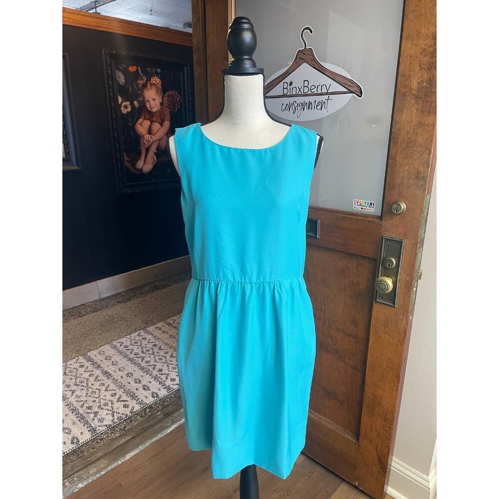 J. Crew A-Line Dress (8)